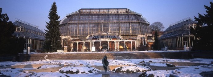 Botanic Garden Berlin in the winter