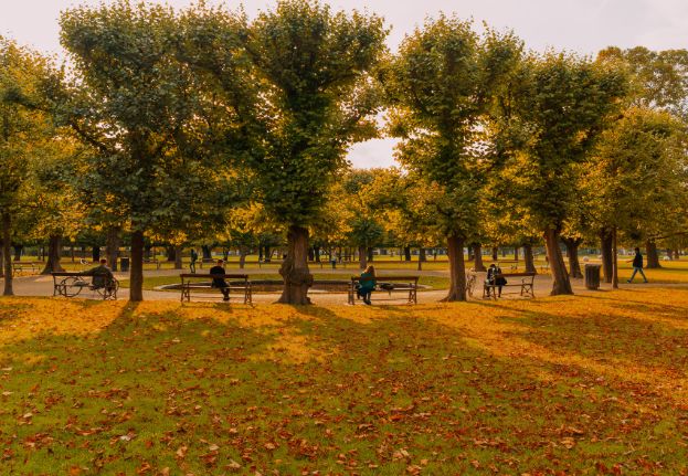 Kings Garden_Autumn_Copenhagen.jpg
