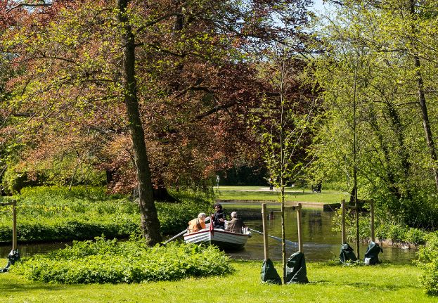Rowing in Frederiksberg Gardens.jpg
