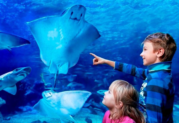 AquaDom SEA LIFE Berlin