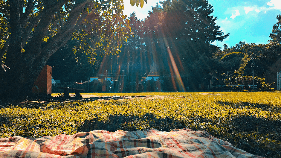 Staycation in Amsterdam - picnic.png