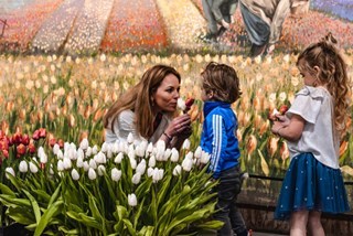 Family enjoying an interactive indoor tulip-picking experience with children holding freshly picked red and pink tulips, surrounded by blooming white and colorful tulips in neat rows, with a decorative mural of expansive flower fields in the background