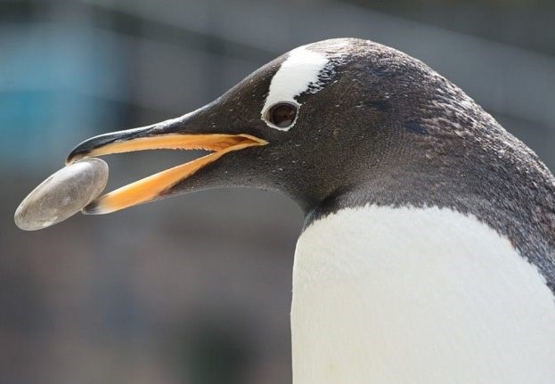 Akvariet i Bergen © thorhakonsen Akvariet i Bergen
