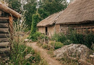 The Viking village at Birka – a reconstructed setting showing what homes and farms looked like during the Viking Age.