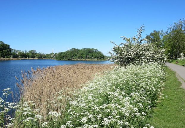 Water and nature on Christianshavns Vold in Copenhagen.