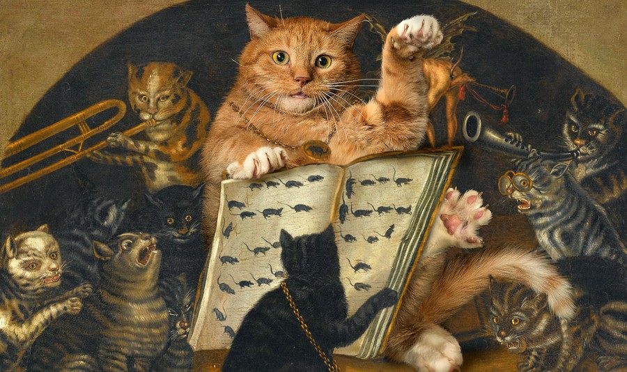 Kattenkunst Amsterdam fatcatart.jpg