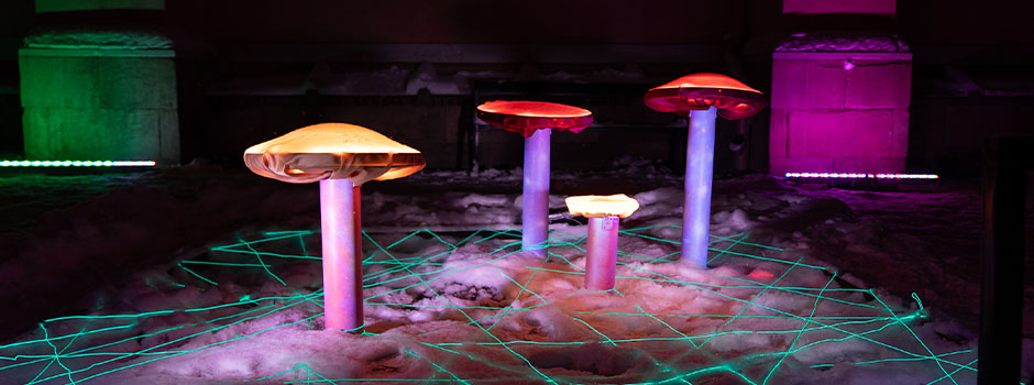 Nordic Week Light -  Autofagi: mushrooms  