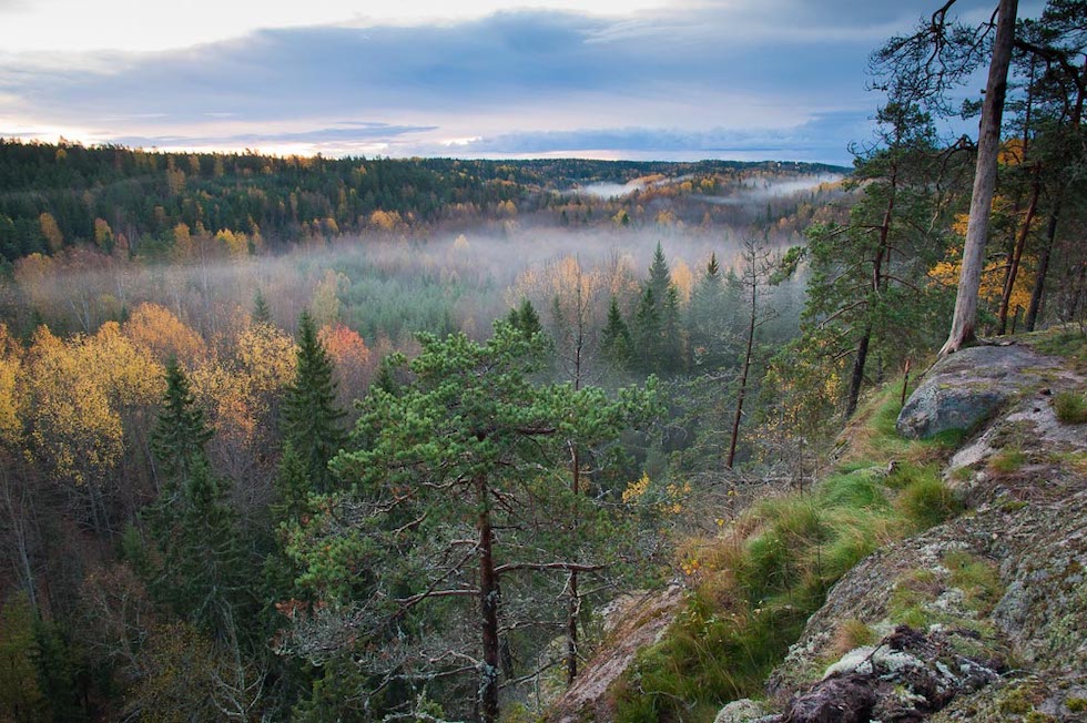 Nuuksio@MauriLeivo-24.jpg